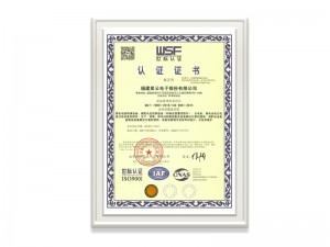 福建星云電子股份有限公司ISO9001證書（中文）